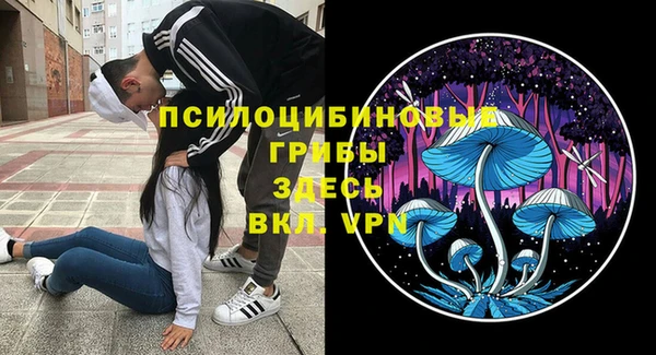 ГАЛЛЮЦИНОГЕННЫЕ ГРИБЫ Алексин