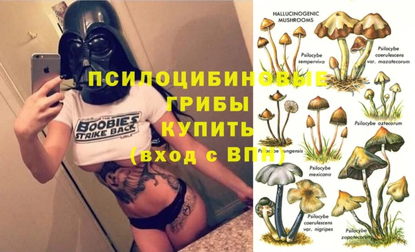 гидропоника Алексеевка