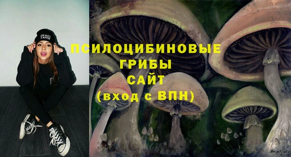 гидропоника Алексеевка