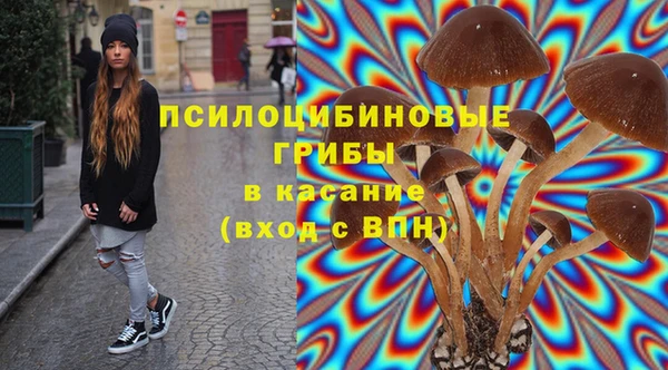 ГАЛЛЮЦИНОГЕННЫЕ ГРИБЫ Алексин